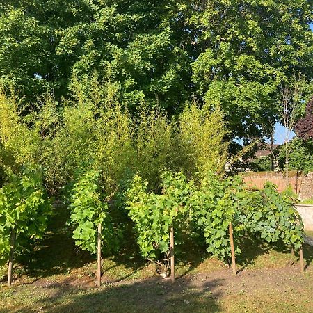 Pierres Et Jardins Bed & Breakfast Senlis  Exterior photo