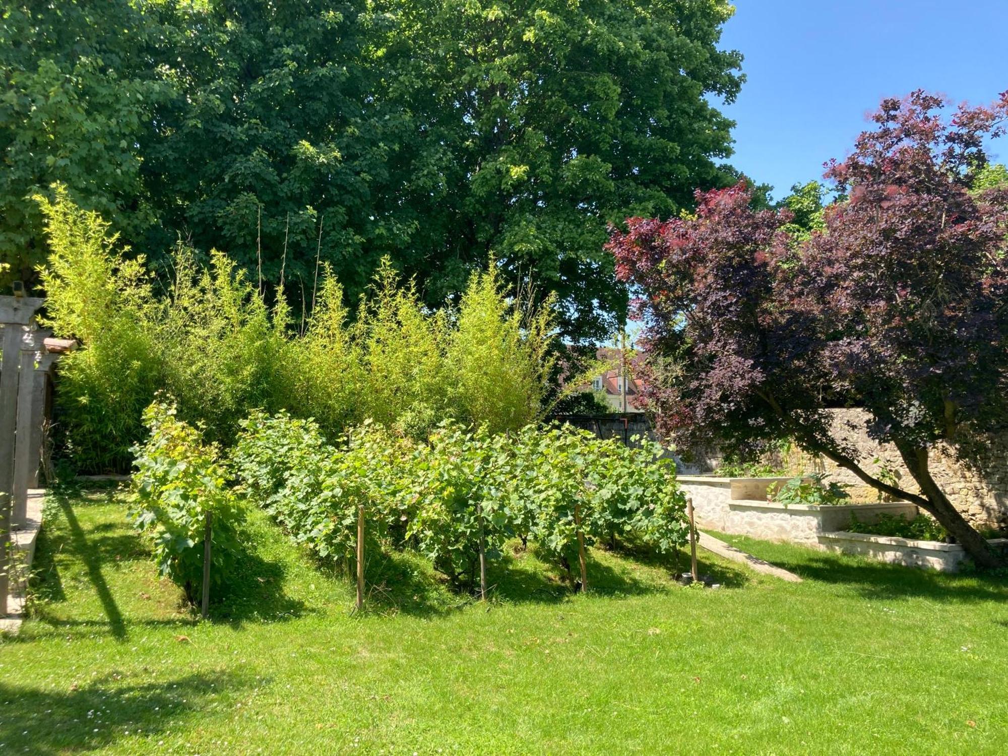 Pierres Et Jardins Bed & Breakfast Senlis  Exterior photo