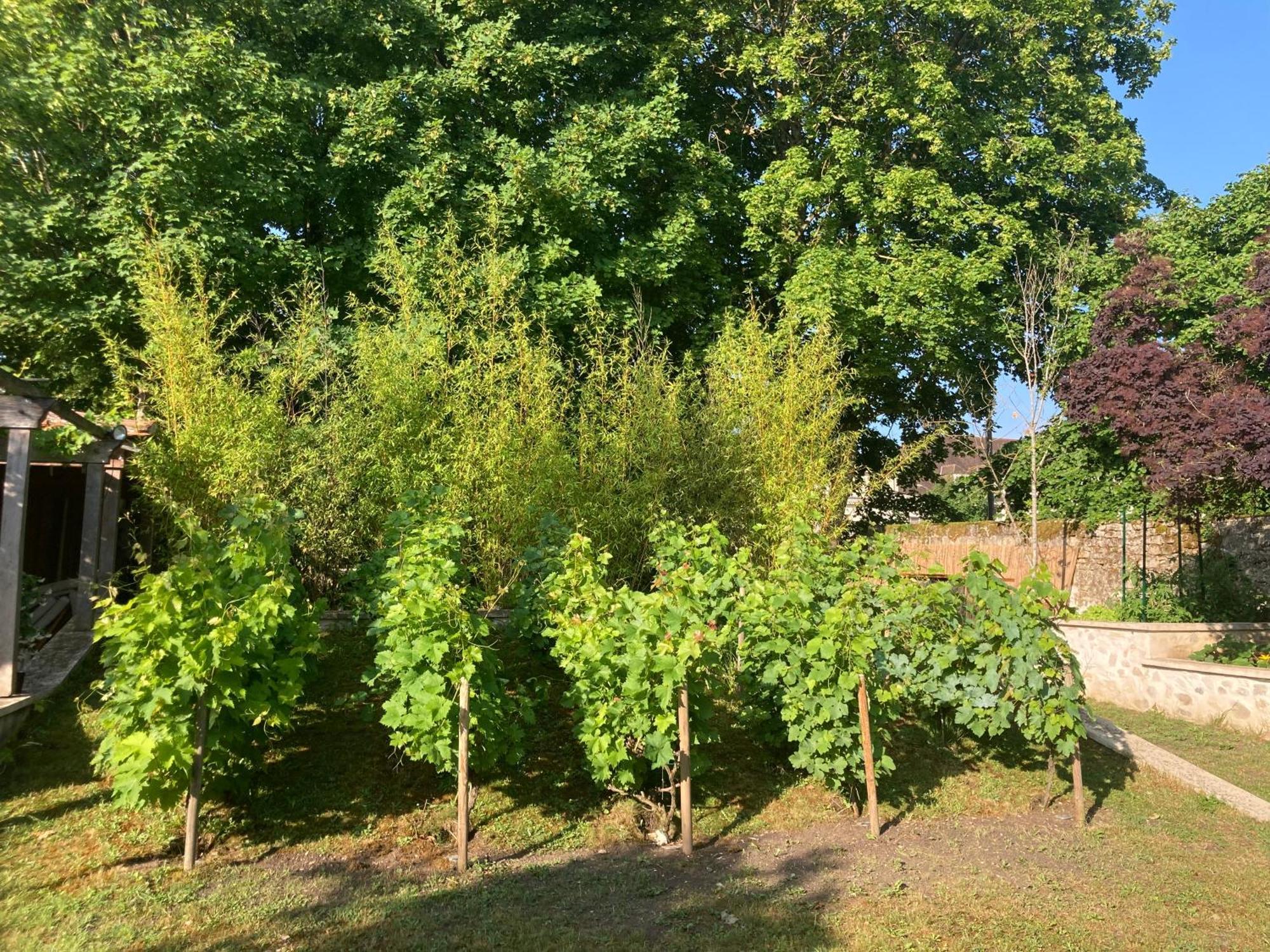 Pierres Et Jardins Bed & Breakfast Senlis  Exterior photo